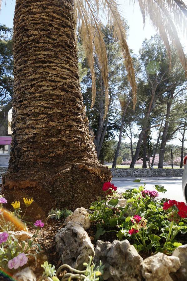 Frapedo Sport Makarska Apartment Екстериор снимка